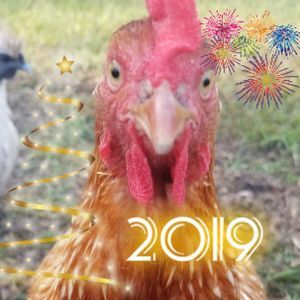 Meet your Posher, Jocelyn perez